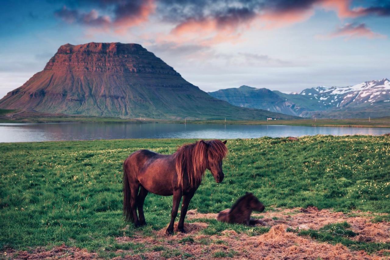 Experience Beautiful Iceland Ólafsvík エクステリア 写真