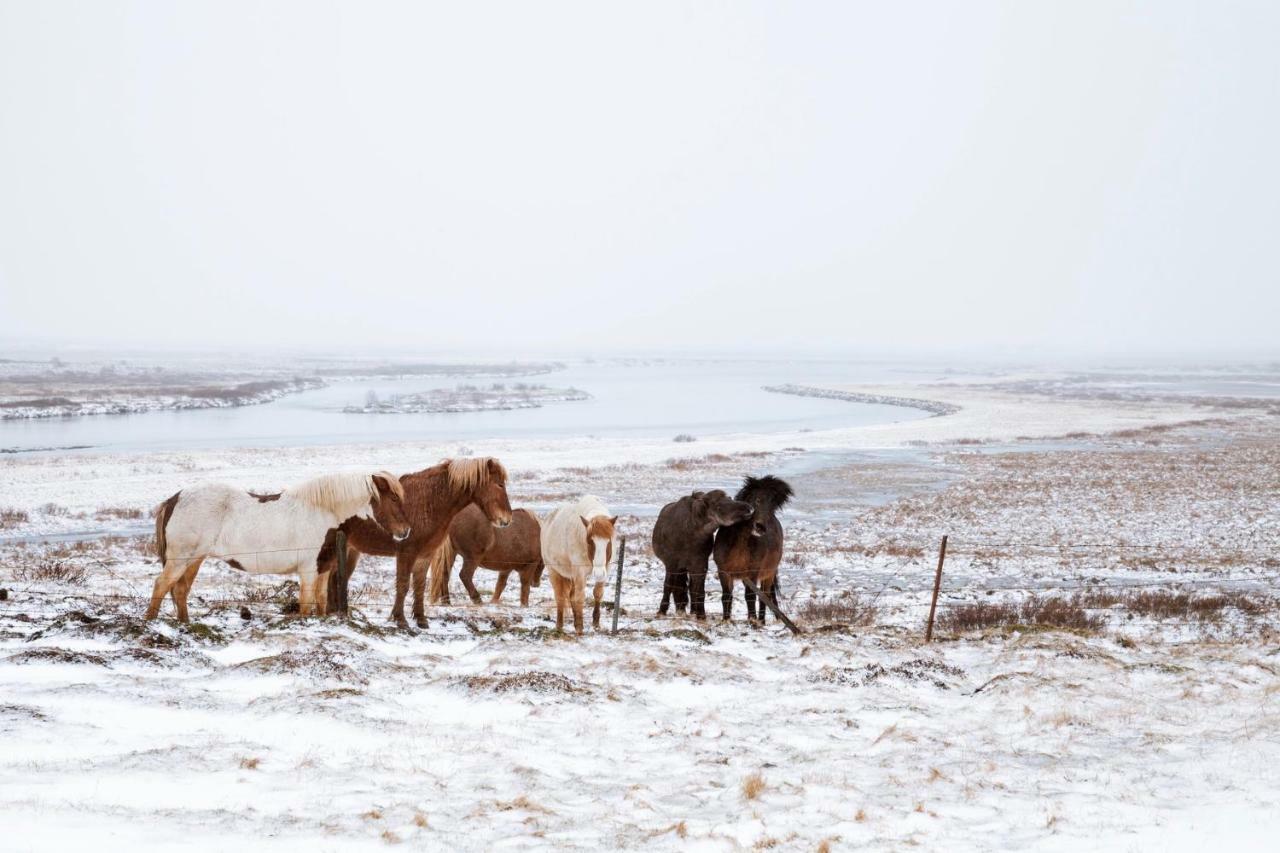 Experience Beautiful Iceland Ólafsvík エクステリア 写真