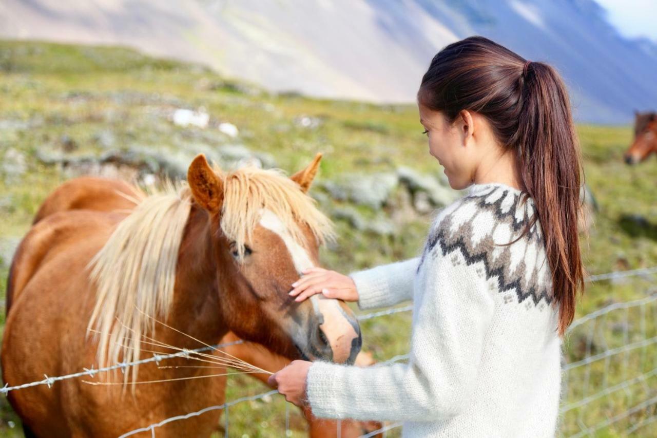 Experience Beautiful Iceland Ólafsvík エクステリア 写真